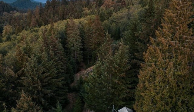 the legendary Wildwood Cabins - Cabin 1