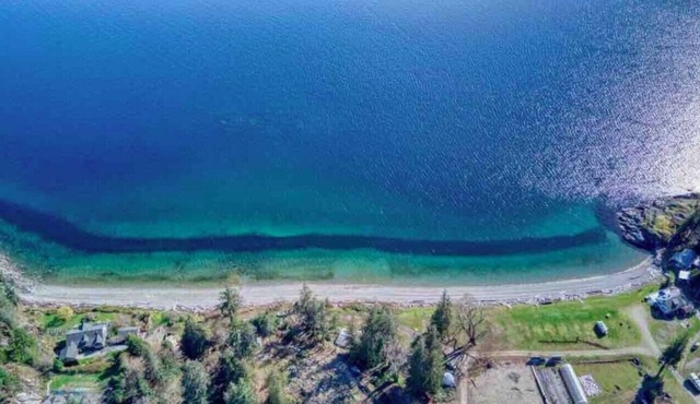 The Little Beach Side CottageA5