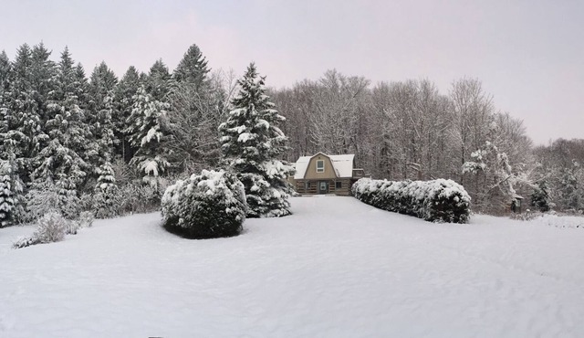 The Trails Retreat (Private Cabin)