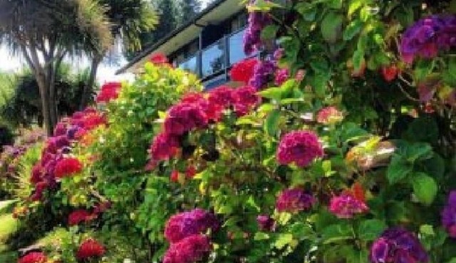 Tofino Motel Harborview