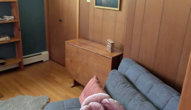 Vintage Lakehouse | WIFI | Parking | Waterfront | BBQ | Games | Private Dock