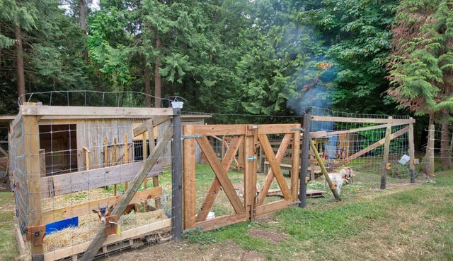 VISIT THE FARM LIFE REST AND RELAX