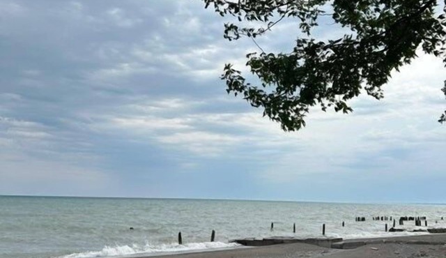 Water Front Erie Dream