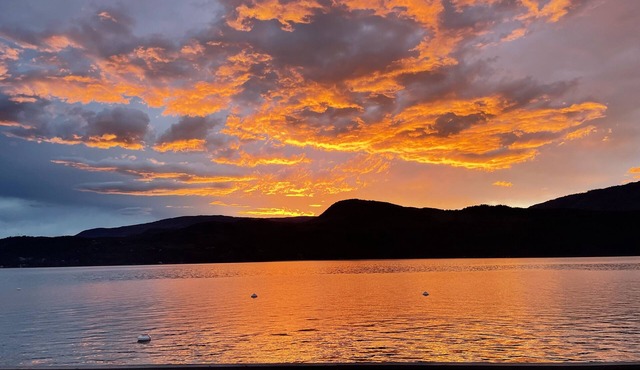 Welcome to Summer Camp! Escape to the shores of beautiful Shuswap Lake.