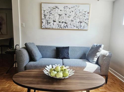 Where Comfort Meets Cozy Vibes
