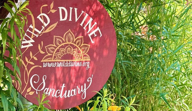 Wild Divine Sanctuary: Yoga + Nature + Zen