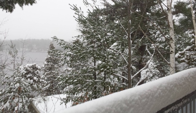 Winter Wonderland! - Owl Point at Pike Lake