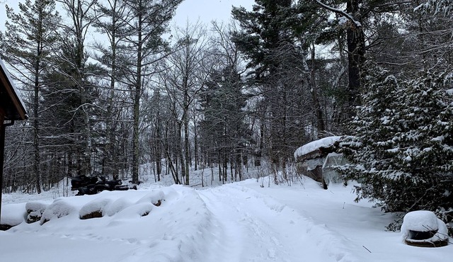 Winter Wonderland! Summer cottage that is also great in the winter.