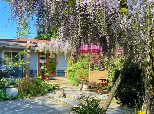 Wisteria Guest House