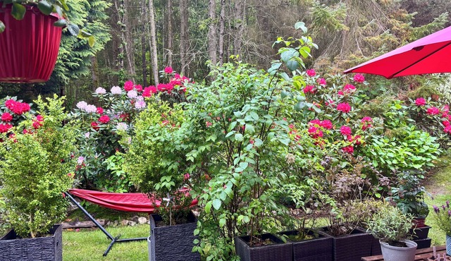 Your summer base: forest trails, mountains, beaches and Deep Cove minutes away.
