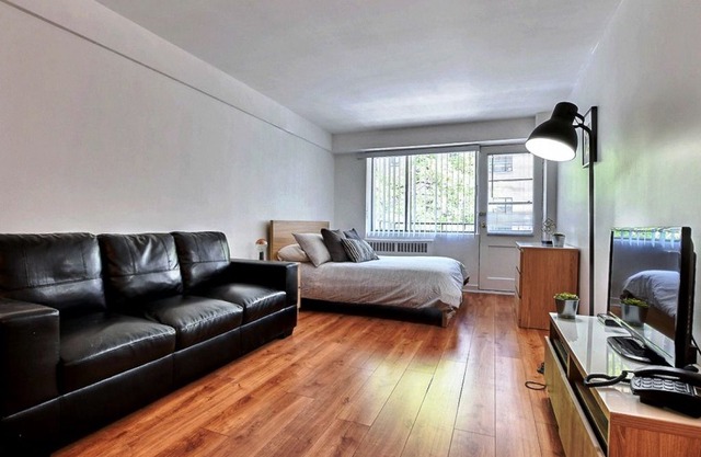 #489 Bright & nicely decorated studio in Plateau Mont-Royal