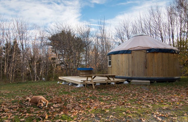 The Cedar Yurt at Cabot Shores Wilderness Resort