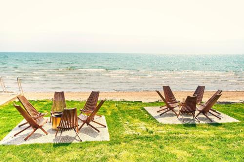 The Beach 