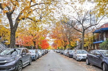 try to erase but unsuccessful. in Rosemont—La Petite-Patrie