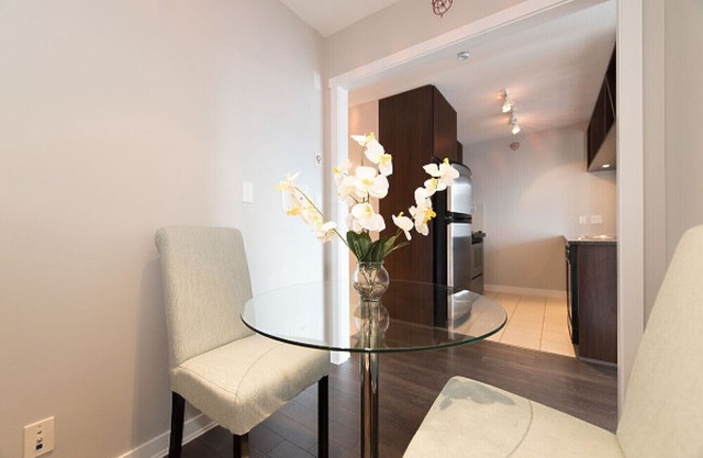 Yaletown 1 Bedroom Apartment (G1)