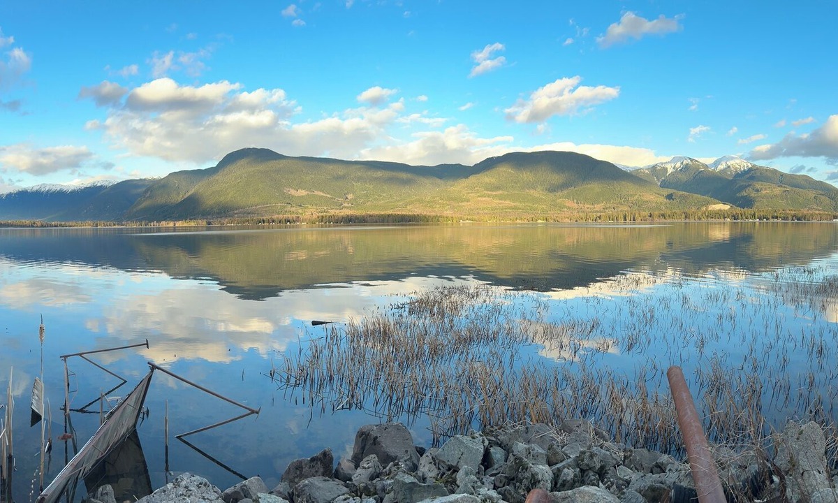 Lakelse Cabin | Cozy Semi-Off Grid waterfront Cottage with spacious property - Pet Friendly