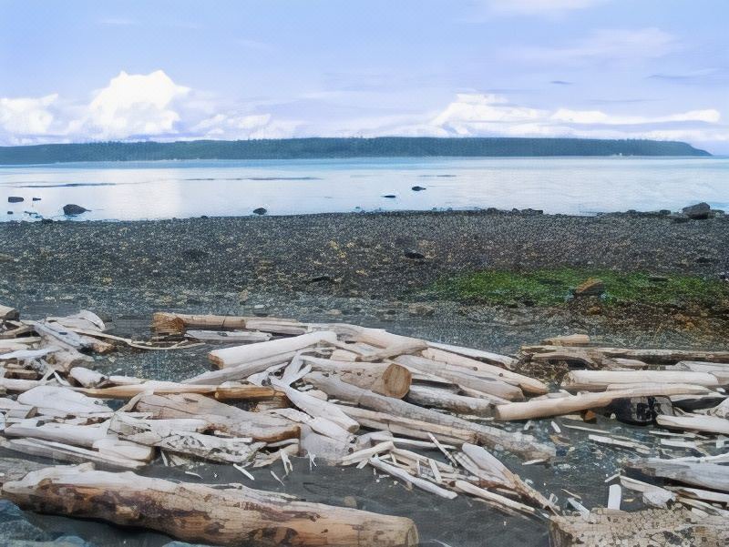 Photo of Others in Campbell River