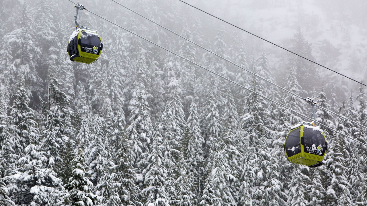 Photo of Others in Garibaldi Highlands