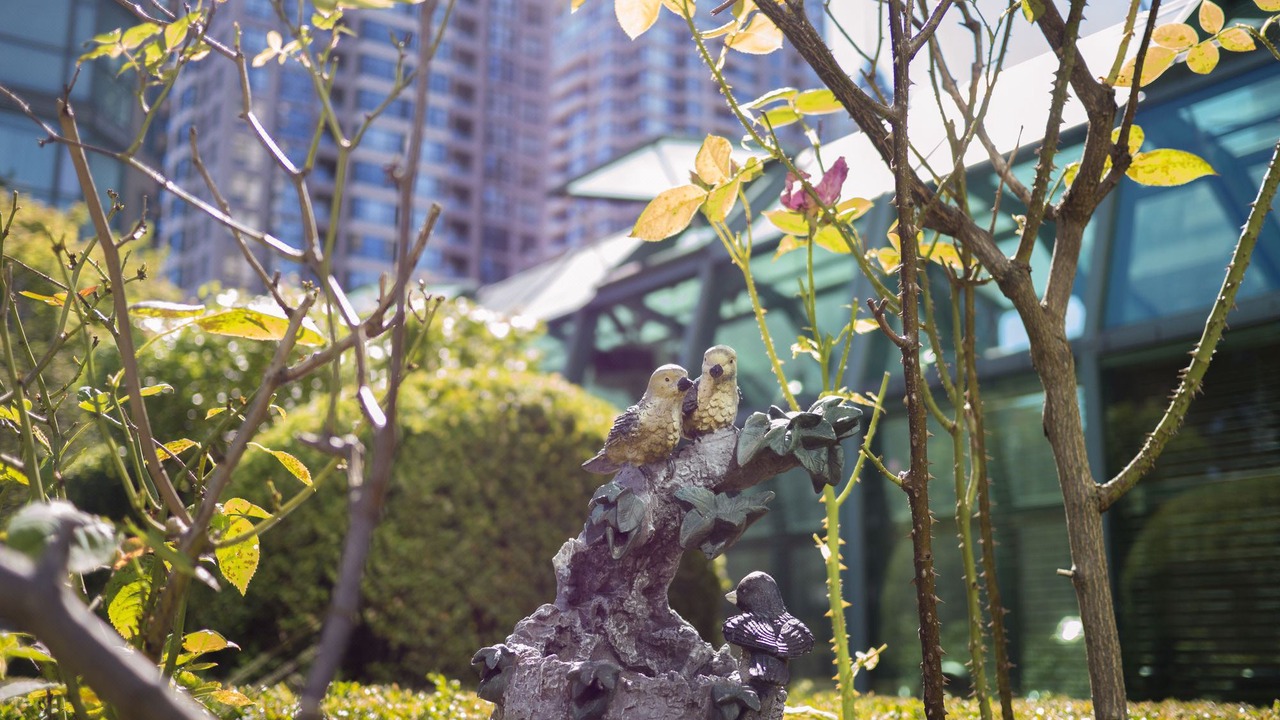 Photo of Others in Yaletown