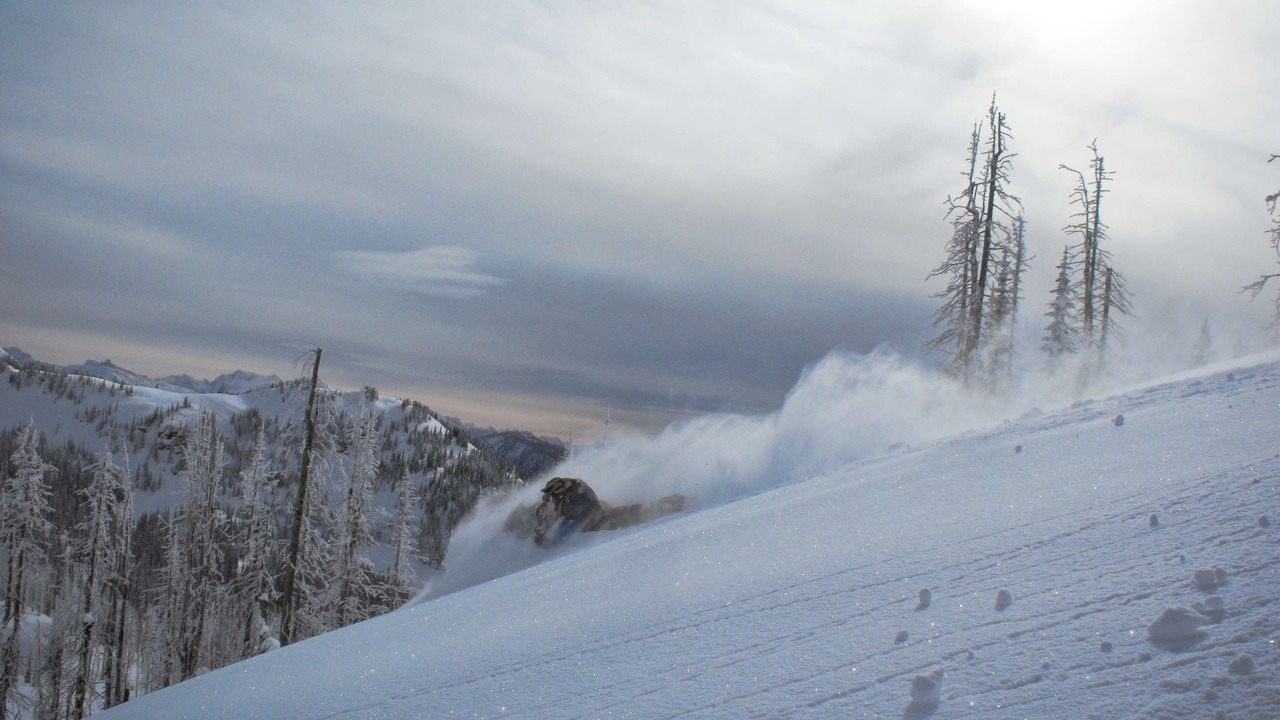 Photo of Others in Sicamous