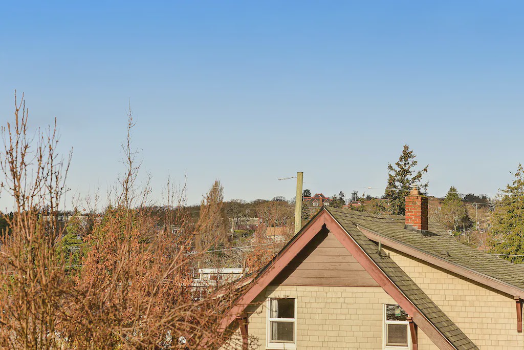 Photo of Buildings in Fernwood