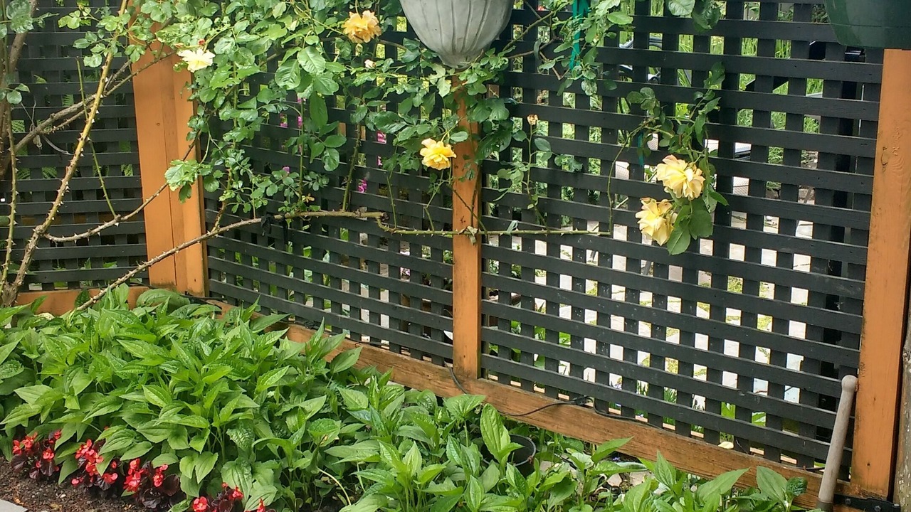 Photo of Outdoor in Saanich West