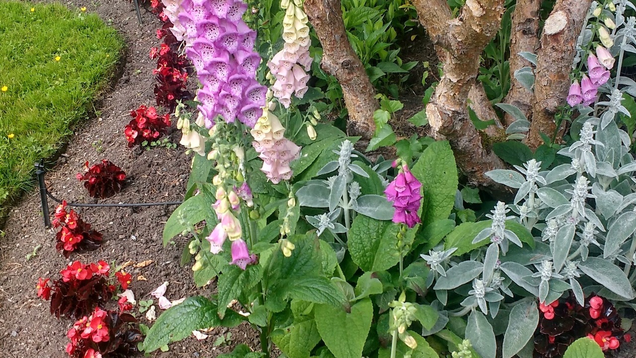 Photo of Outdoor in Saanich West