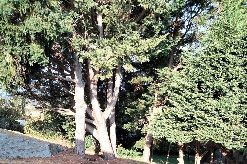 Photo of Outdoor in Saanich West