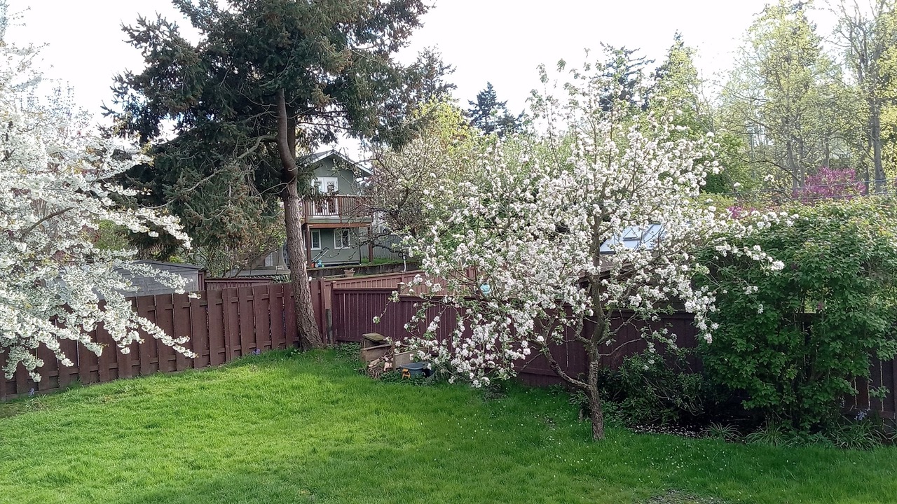 Photo of Outdoor in Saanich West