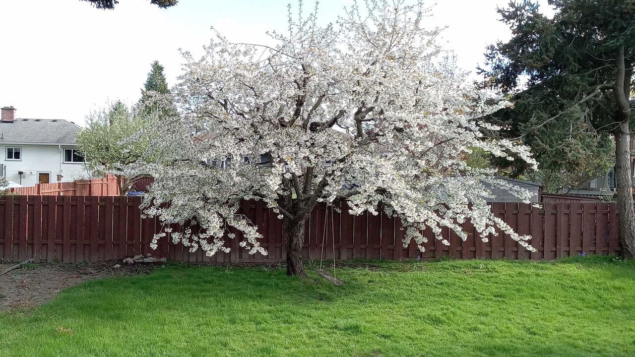 Photo of Outdoor in Saanich West