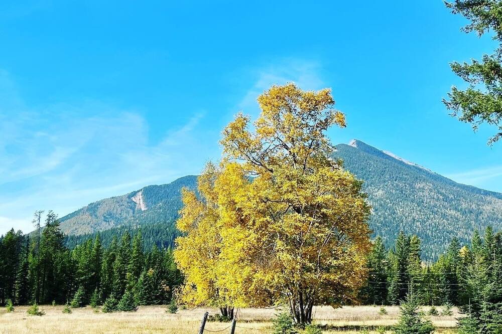 Photo of Outdoor in Columbia Valley