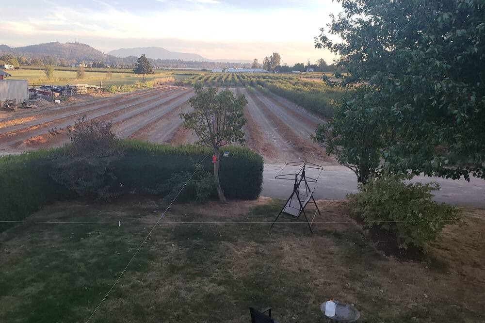 Photo of Outdoor in Hatzic