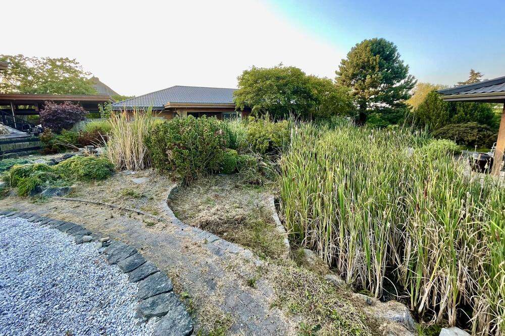 Photo of Outdoor in Delta