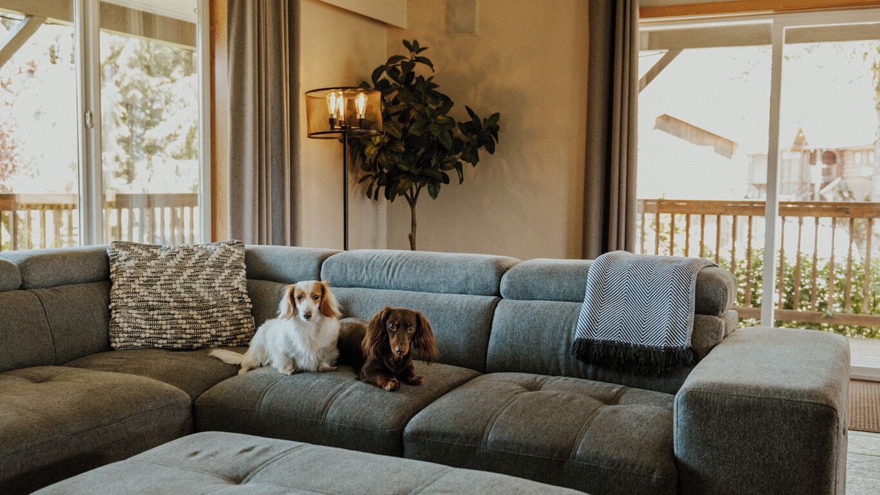 Photo of Livingroom in Popkum