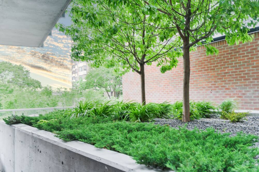 Photo of Patio Balcony in Bridgeland
