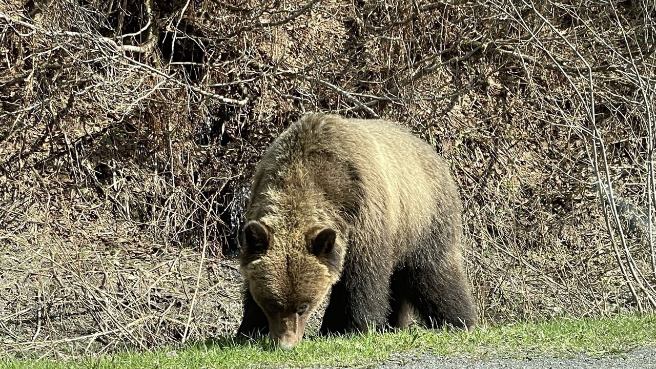 Photo of Outdoor in Stewart