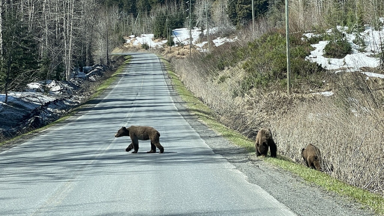 Photo of Outdoor in Stewart