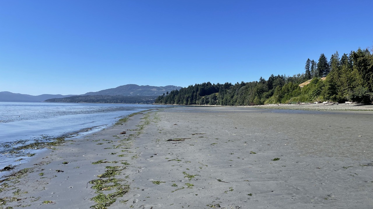Photo of Others in Mill Bay
