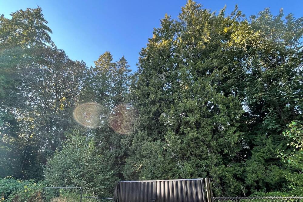 Photo of Outdoor in Langley