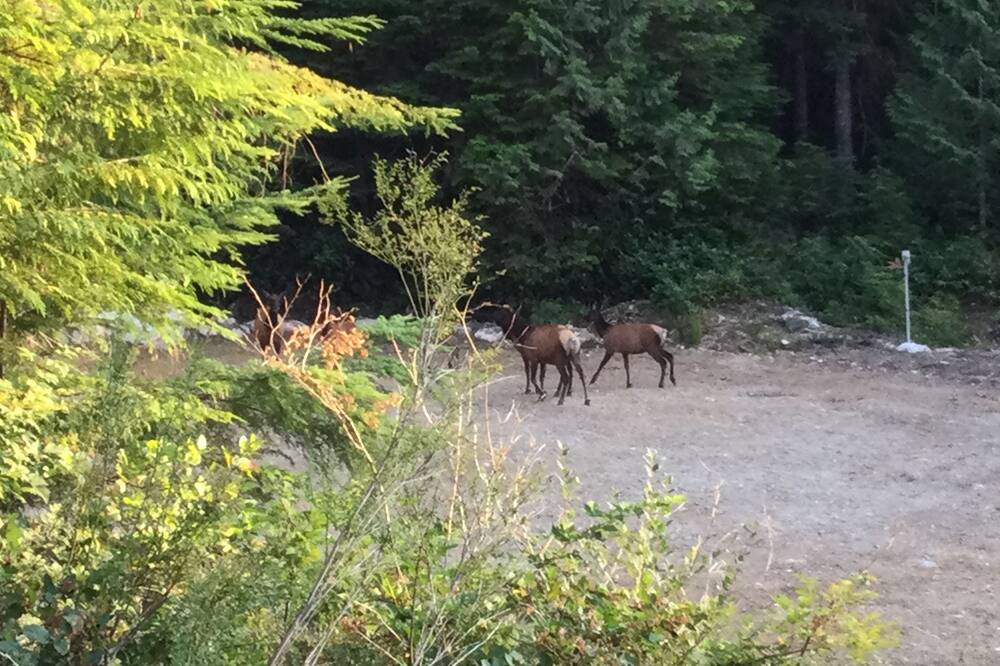 Photo of Others in Halfmoon Bay