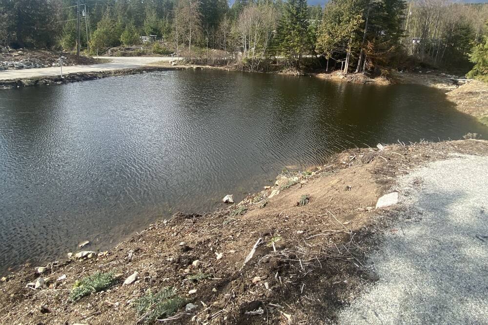 Photo of Others in Halfmoon Bay