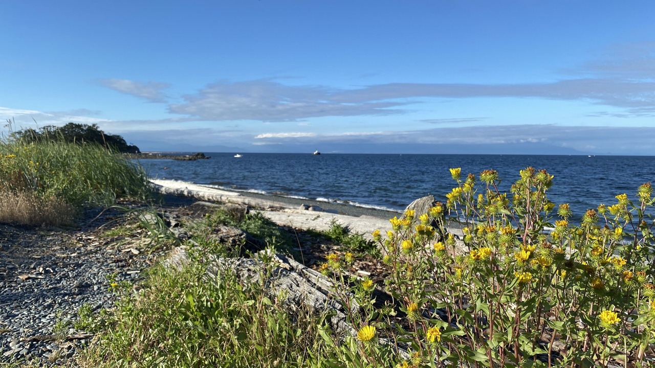 Photo of Others in Regional District of Nanaimo