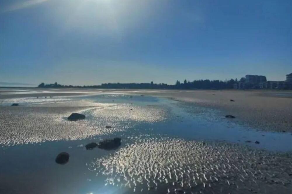 Photo of Others in North Cowichan