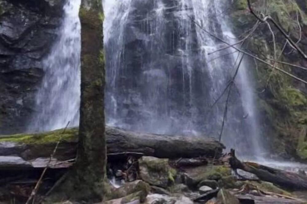 Photo of Outdoor in North Cowichan