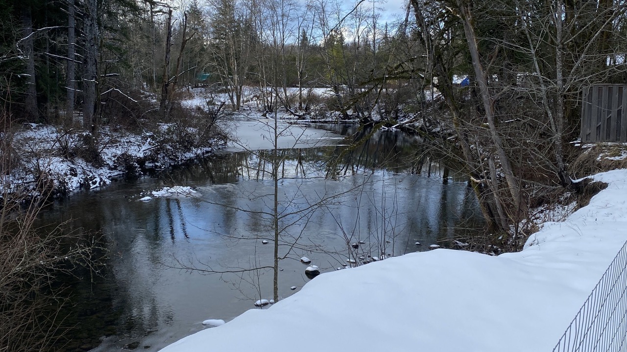 Photo of Outdoor in Courtenay