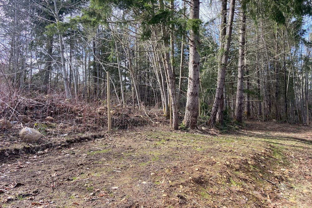 Photo of Outdoor in Courtenay