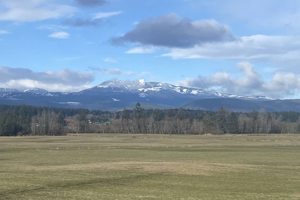 Photo of Others in Courtenay