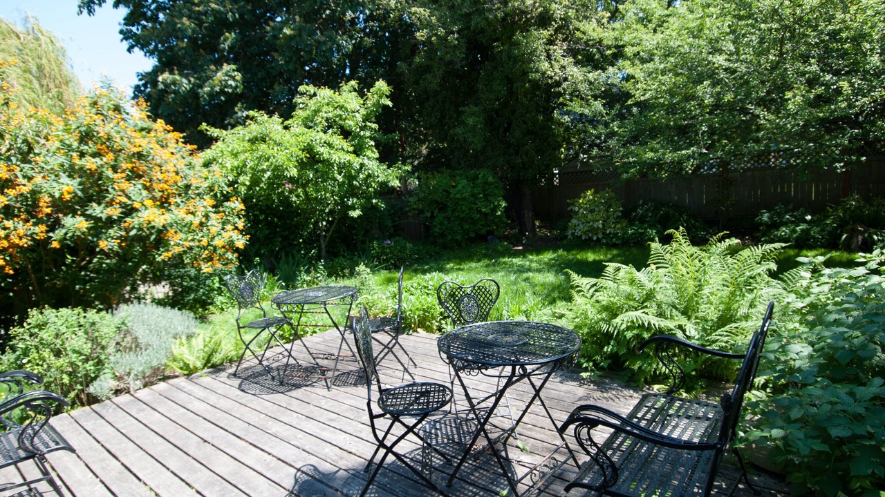 Photo of Outdoor in James Bay