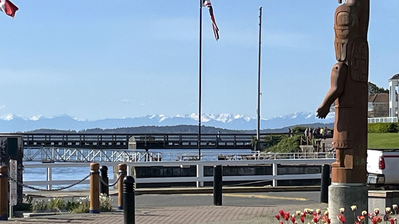 Photo of Outdoor in Sidney