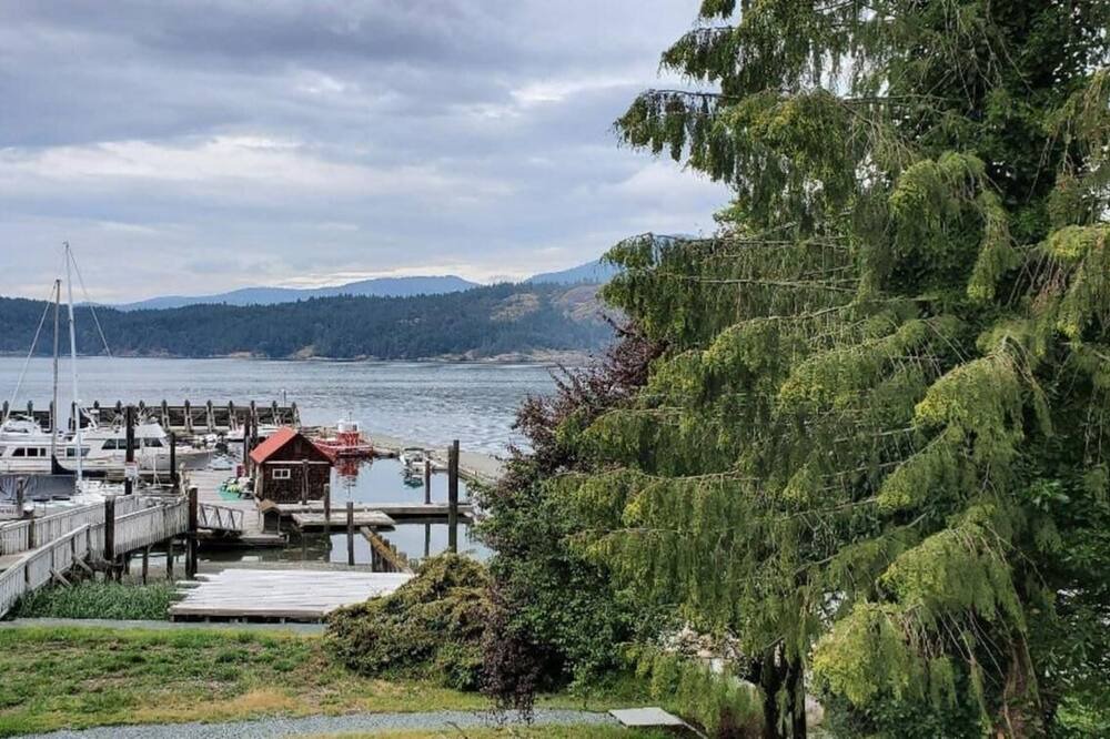 Photo of Others in Cowichan Bay